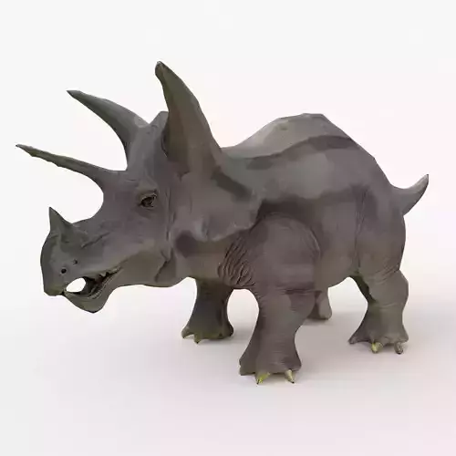 Triceratops