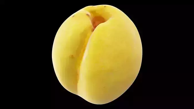 Apricot 3D model