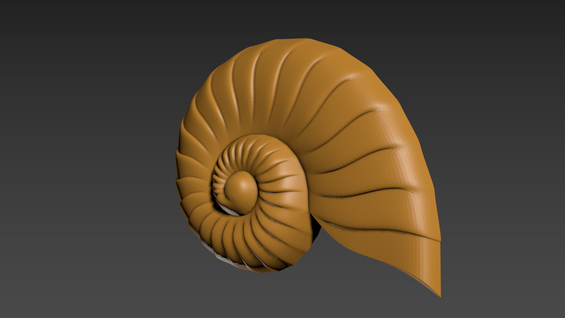 Seashell Shell Clamshell 3D print model_7