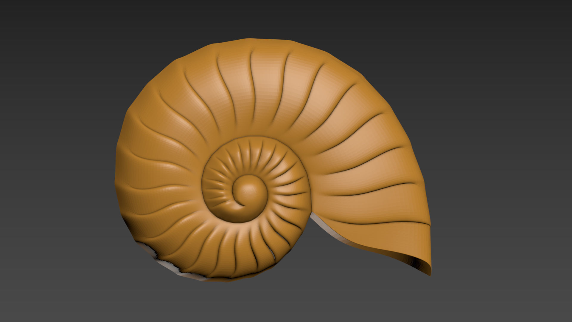 Seashell Shell Clamshell 3D print model_2