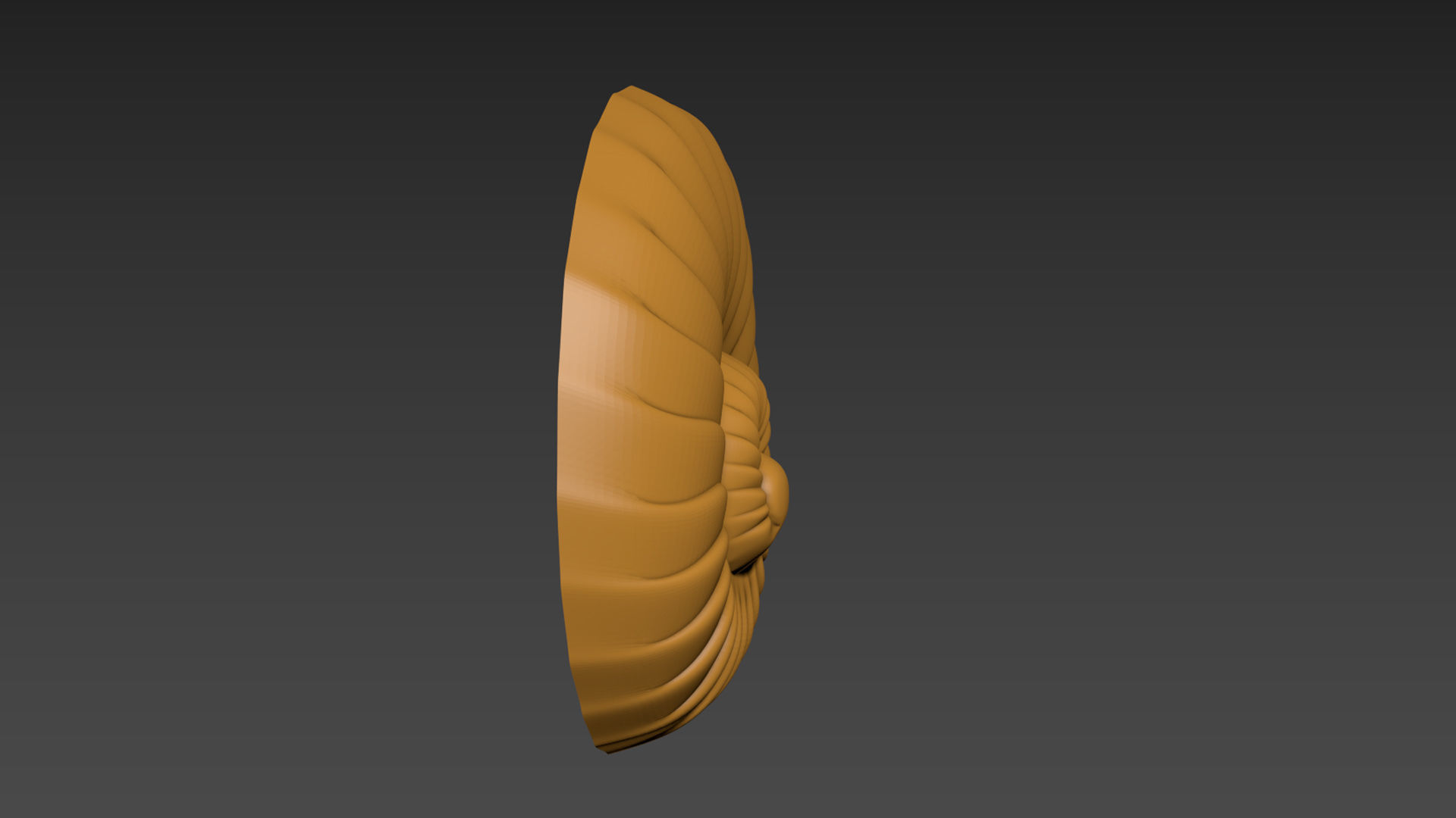 Seashell Shell Clamshell 3D print model_14