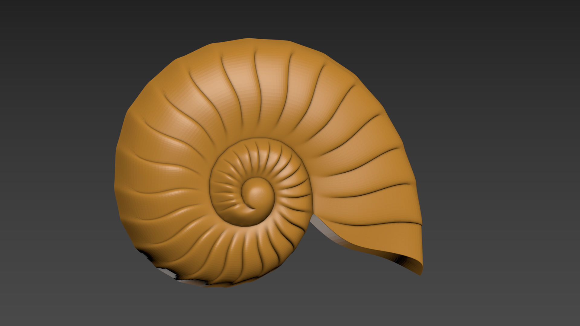Seashell Shell Clamshell 3D print model_3