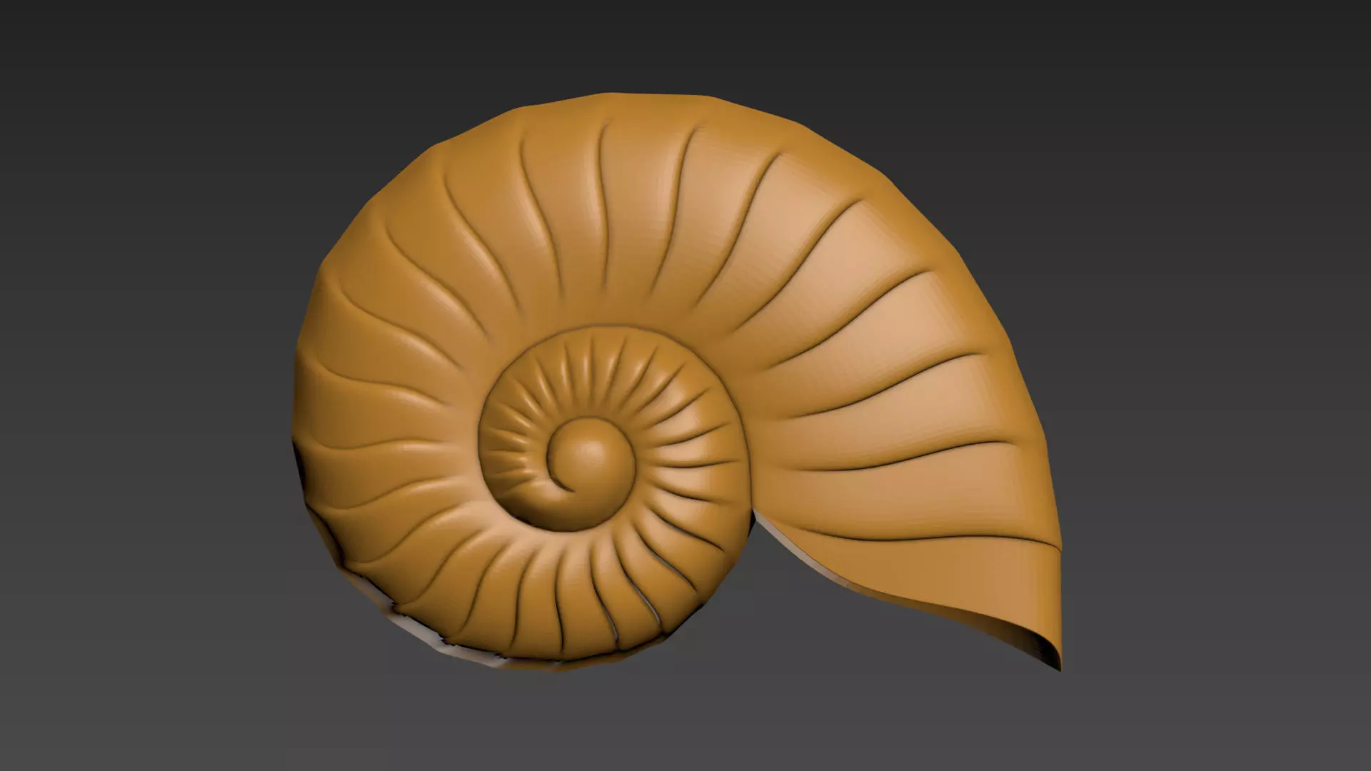 Seashell Shell Clamshell 3D print model_0