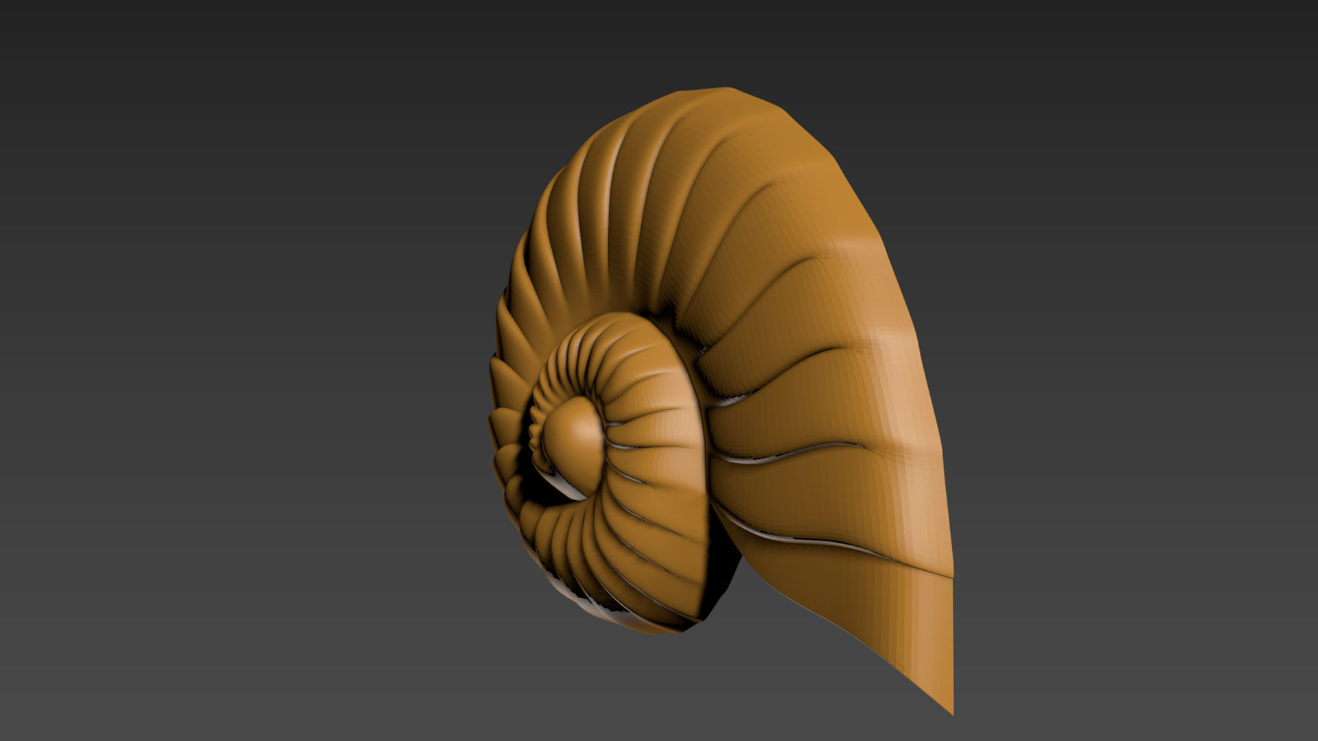 Seashell Shell Clamshell 3D print model_6