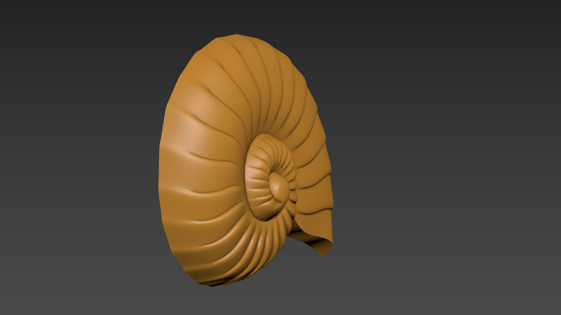 Seashell Shell Clamshell 3D print model_13