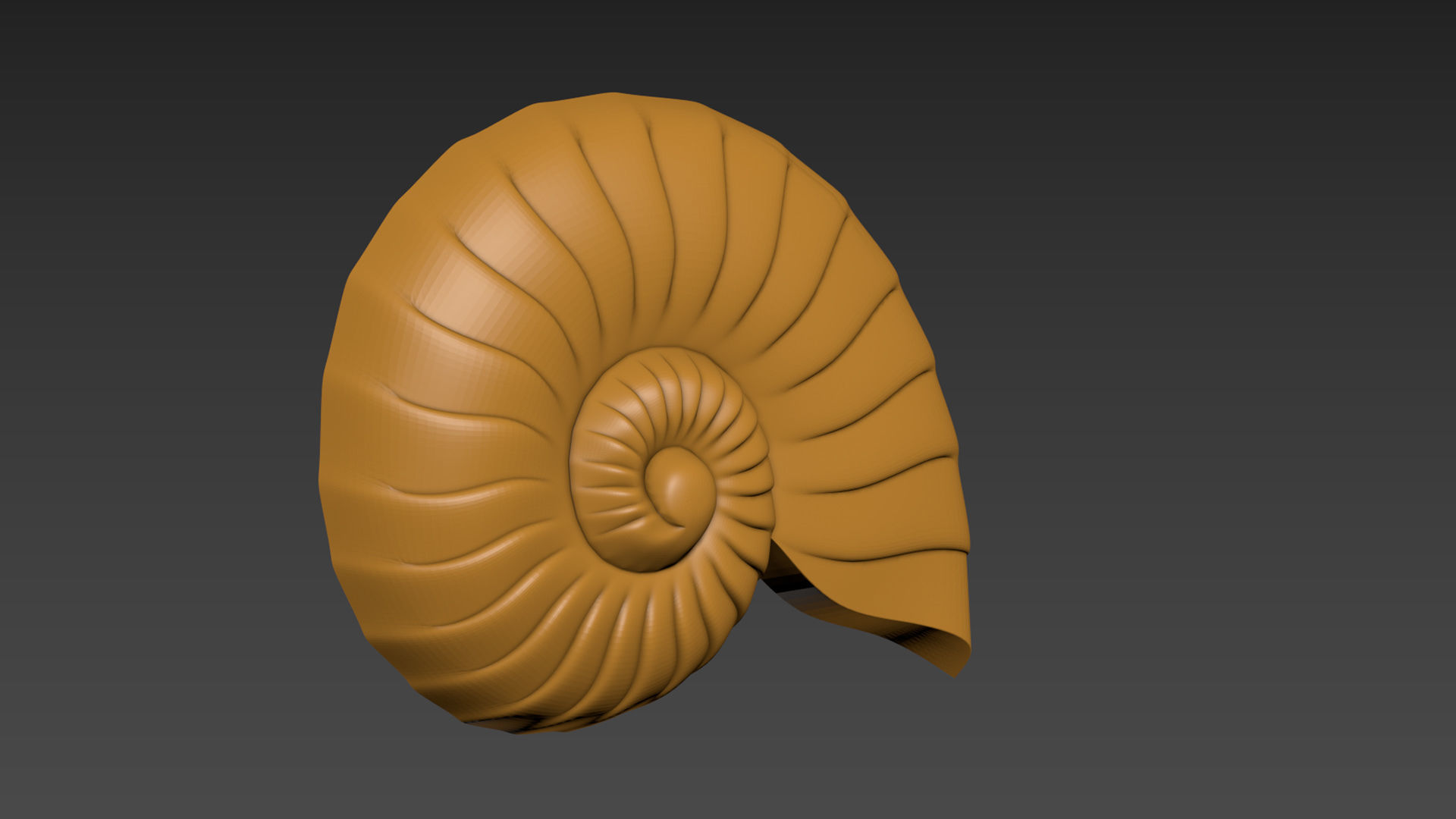 Seashell Shell Clamshell 3D print model_4