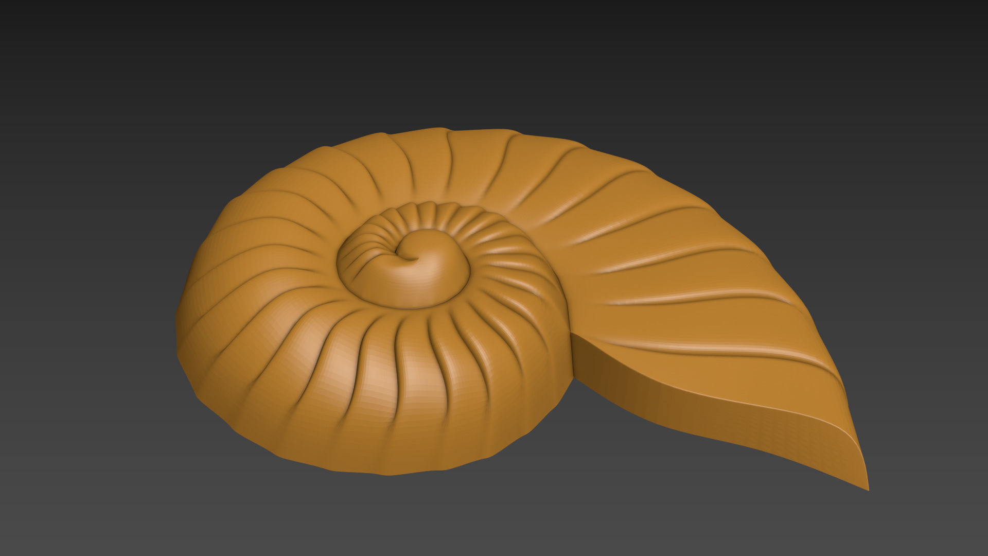 Seashell Shell Clamshell 3D print model_8