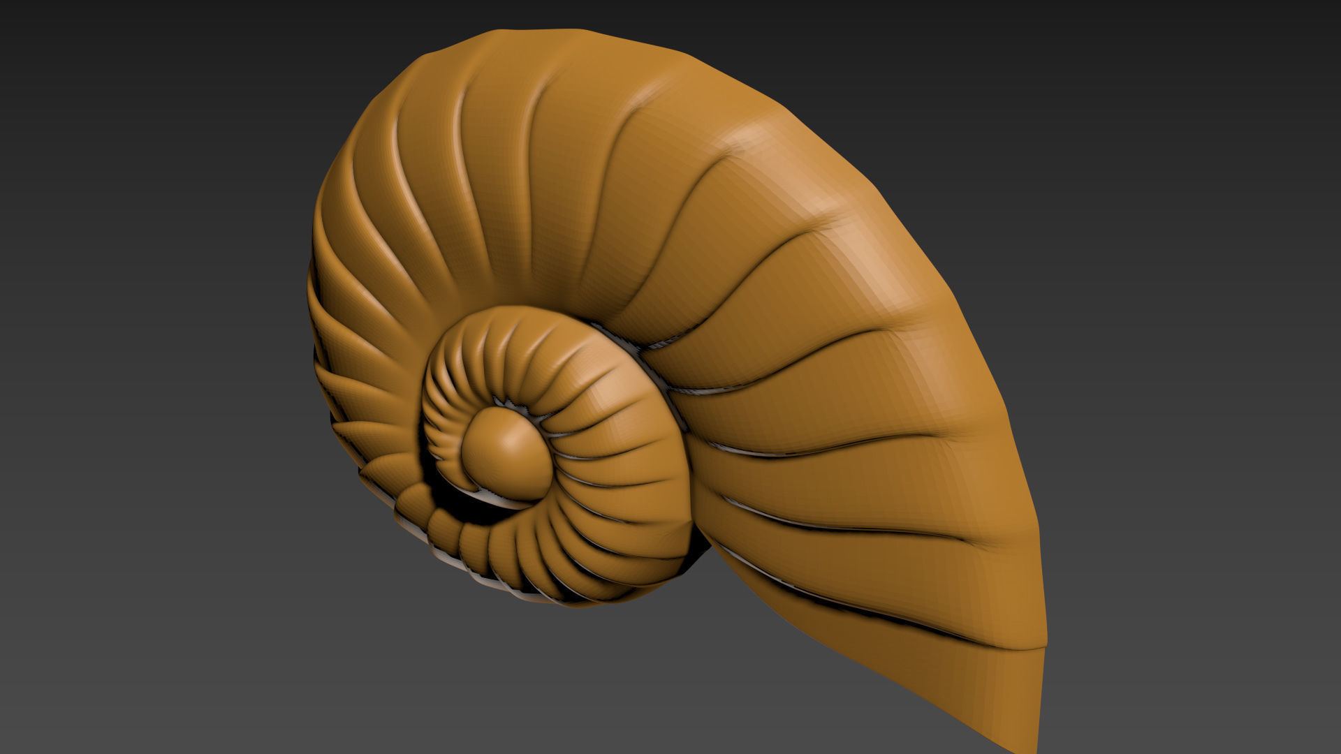 Seashell Shell Clamshell 3D print model_10