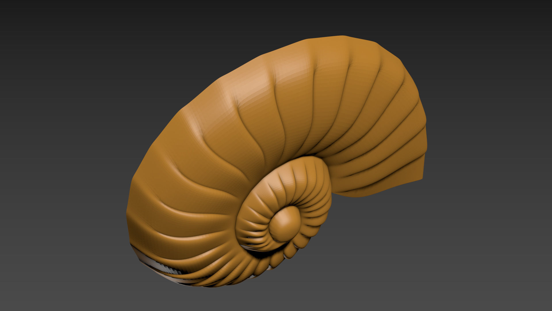 Seashell Shell Clamshell 3D print model_9