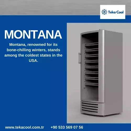 Montana 350 Soft Drink Cooler 3D print model
