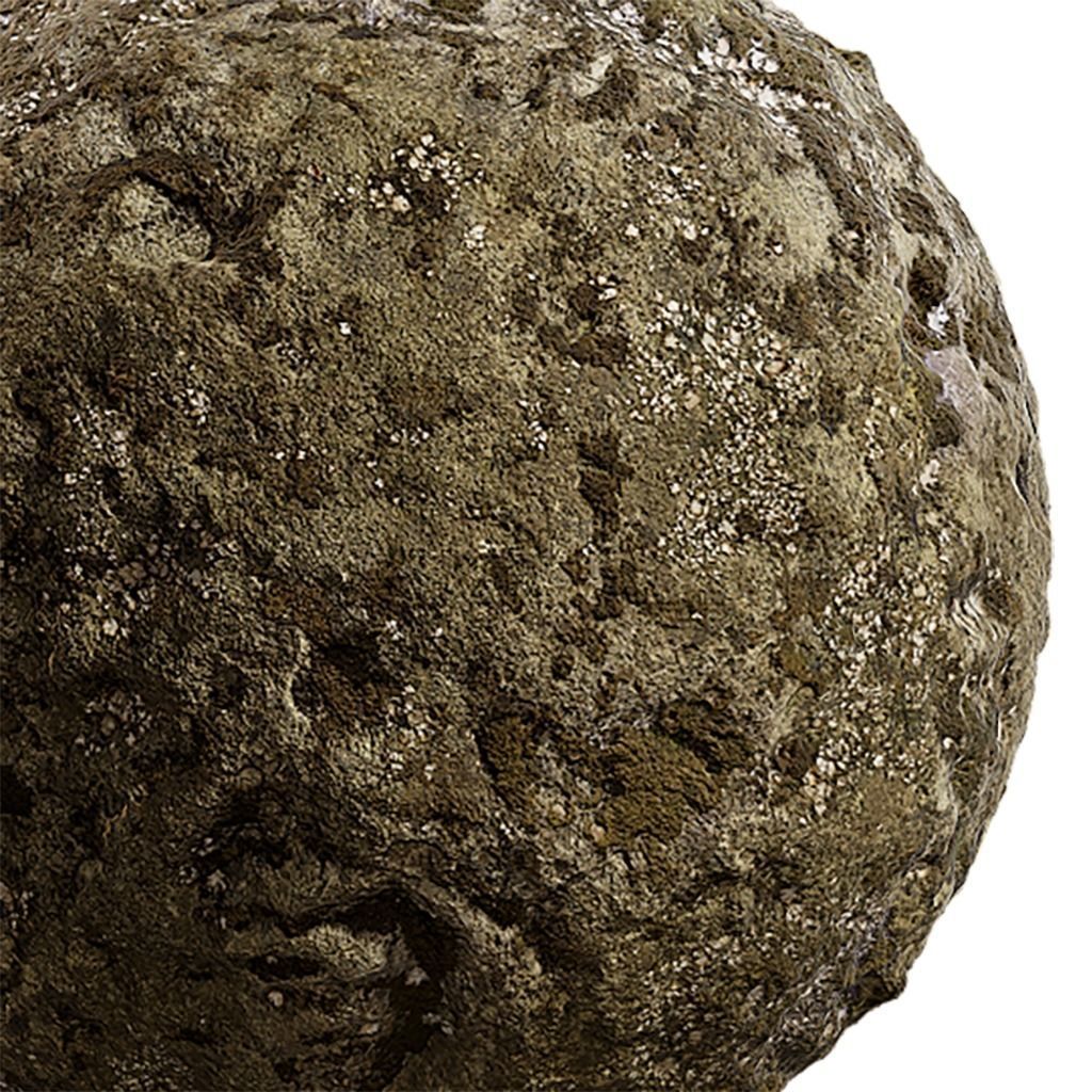 Moss Seamless Texture 2K - EXR 5 - JPG 5 Texture Texture_4
