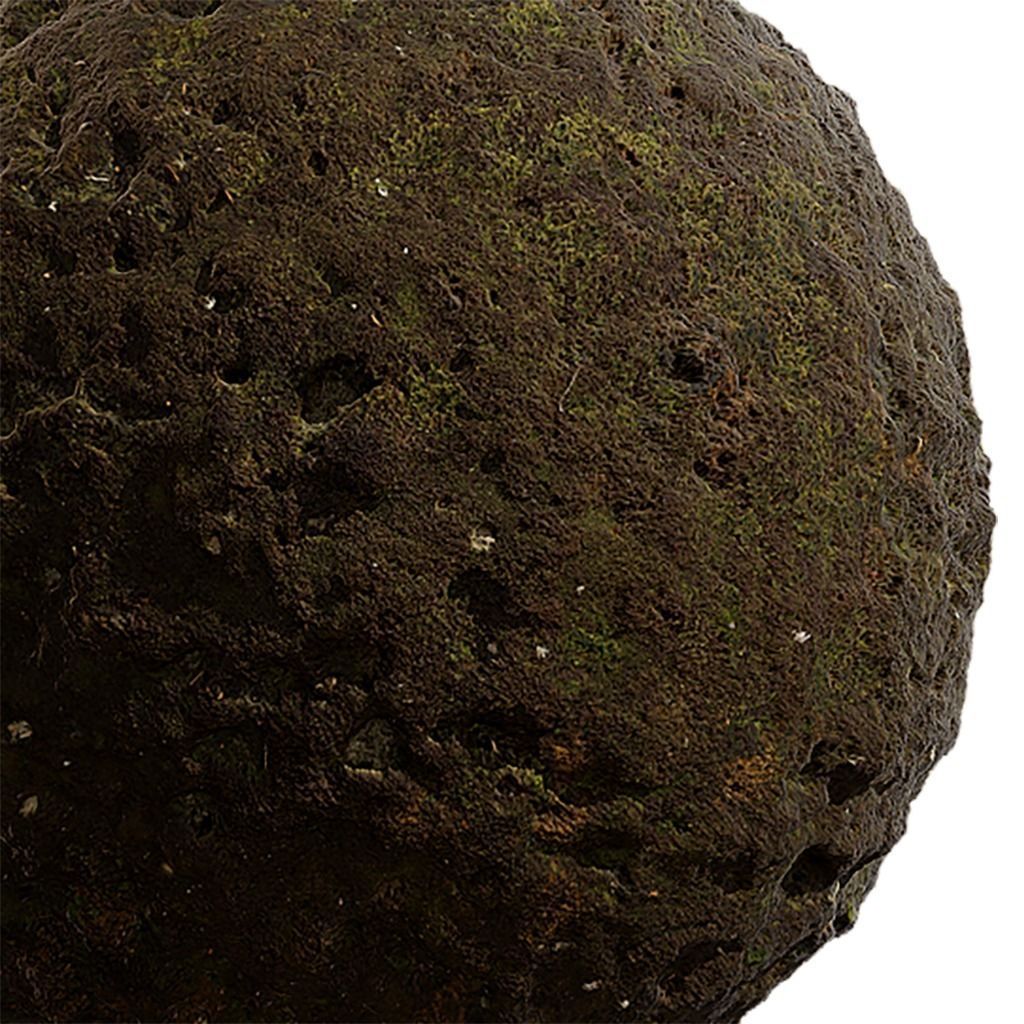 Moss Seamless Texture 2K - EXR 5 - JPG 5 Texture Texture_1
