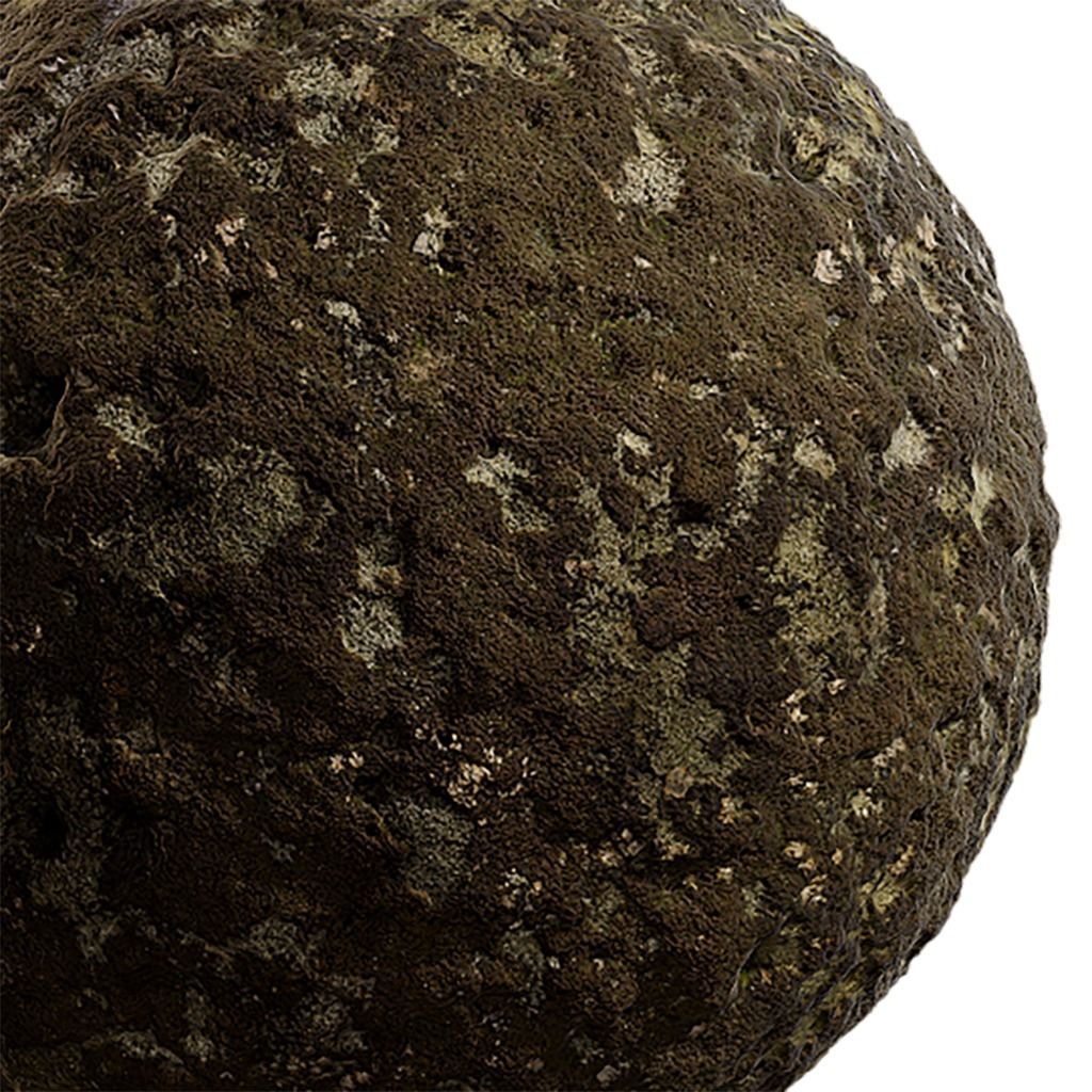 Moss Seamless Texture 2K - EXR 5 - JPG 5 Texture Texture_3