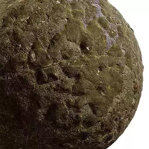 Moss Seamless Texture 2K - EXR 5 - JPG 5 Texture