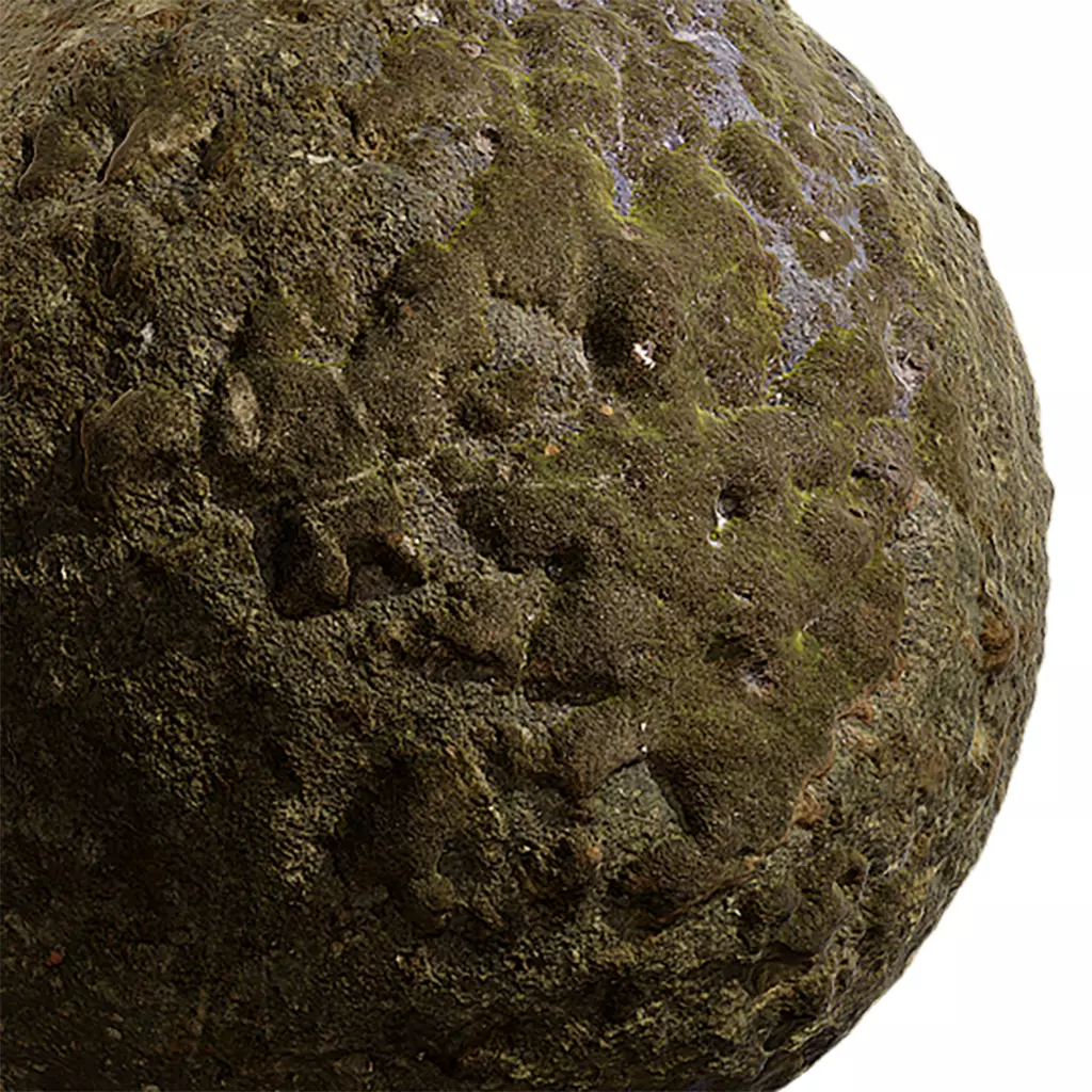 Moss Seamless Texture 2K - EXR 5 - JPG 5 Texture Texture_0