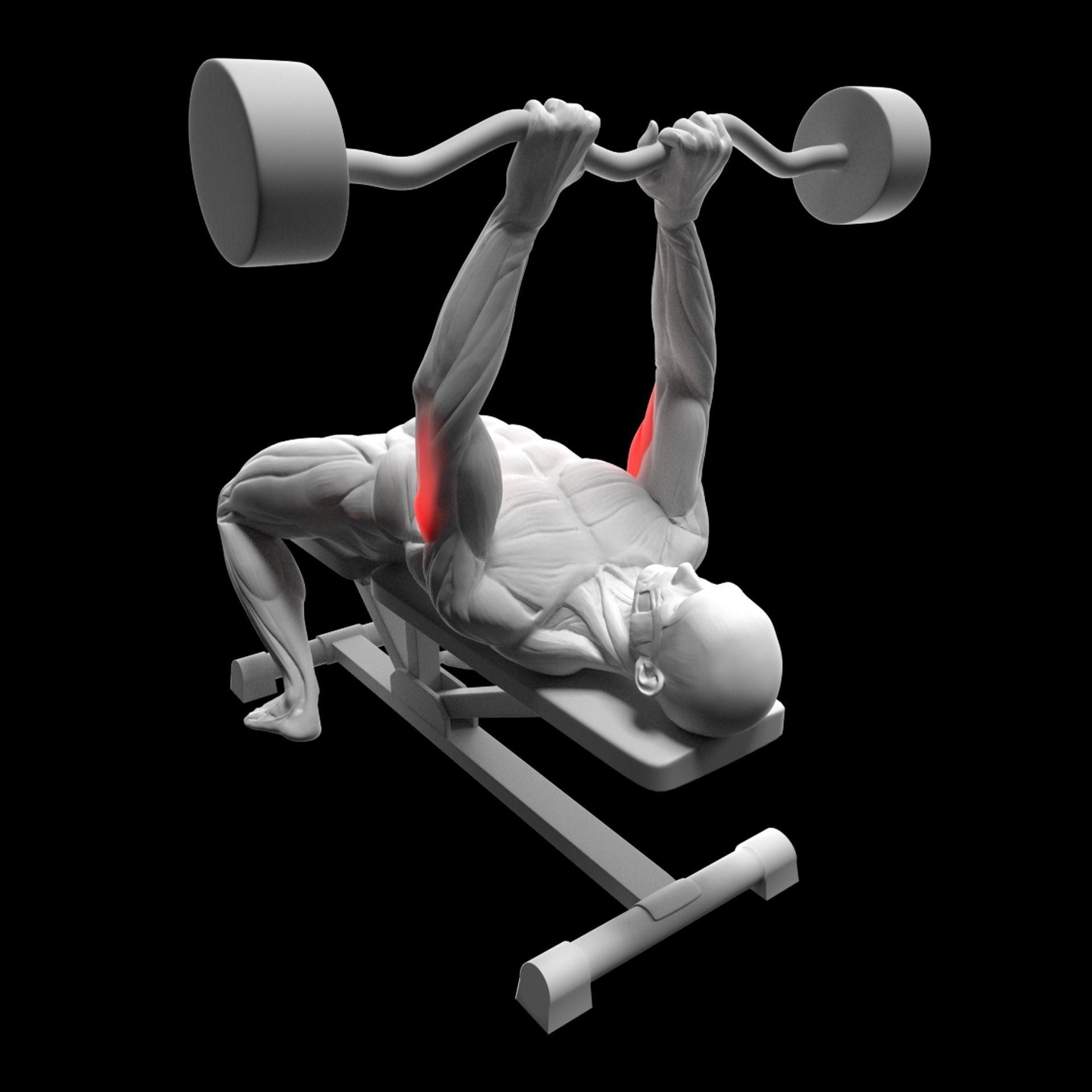 Triceps Barbell French Press 3D model_2