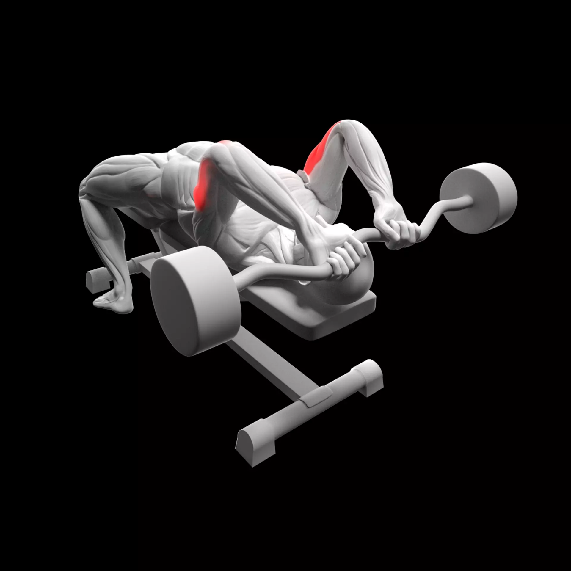 Triceps Barbell French Press 3D model_0