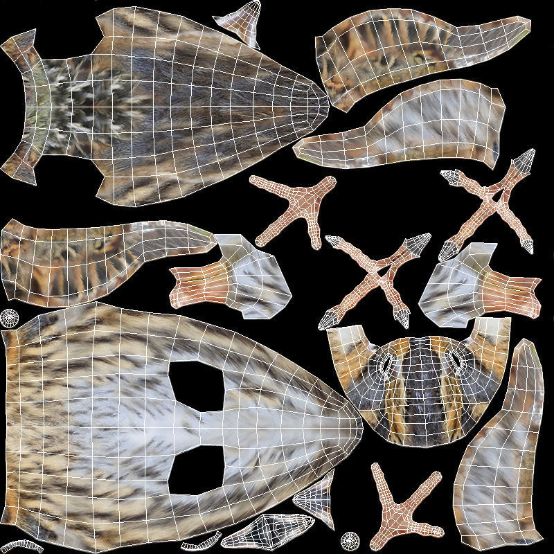 Saltmarsh Sparrow Low-poly 3D model_19