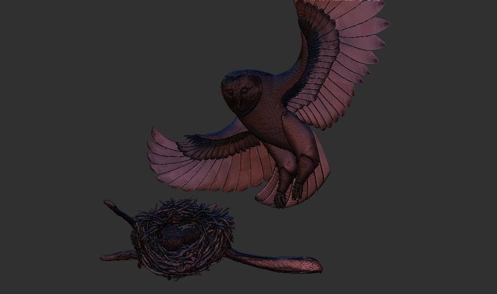 Owl nest eggs relief 3d printable model cnc 3D print model_3