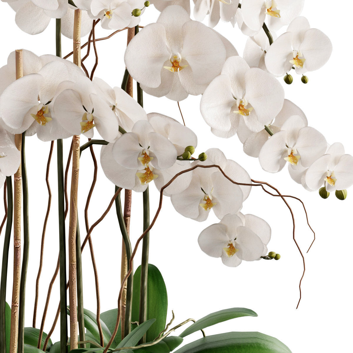 Flower In Vase  23 3D model_1