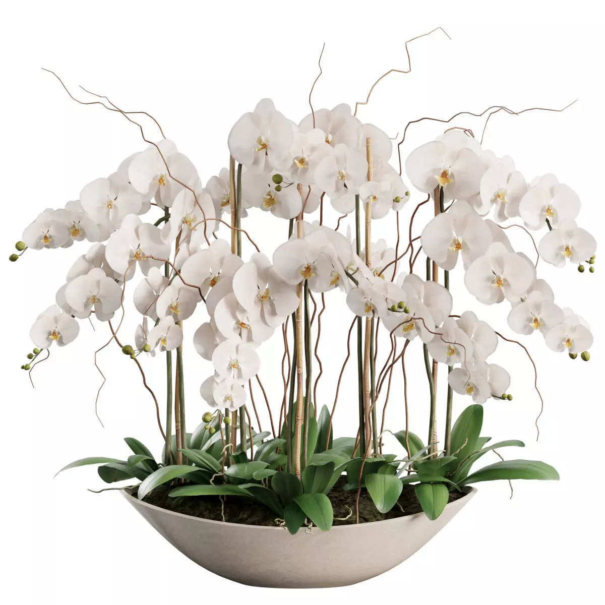 Flower In Vase  23 3D model_0