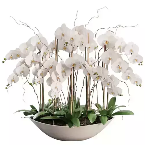 Flower In Vase  23 3D model