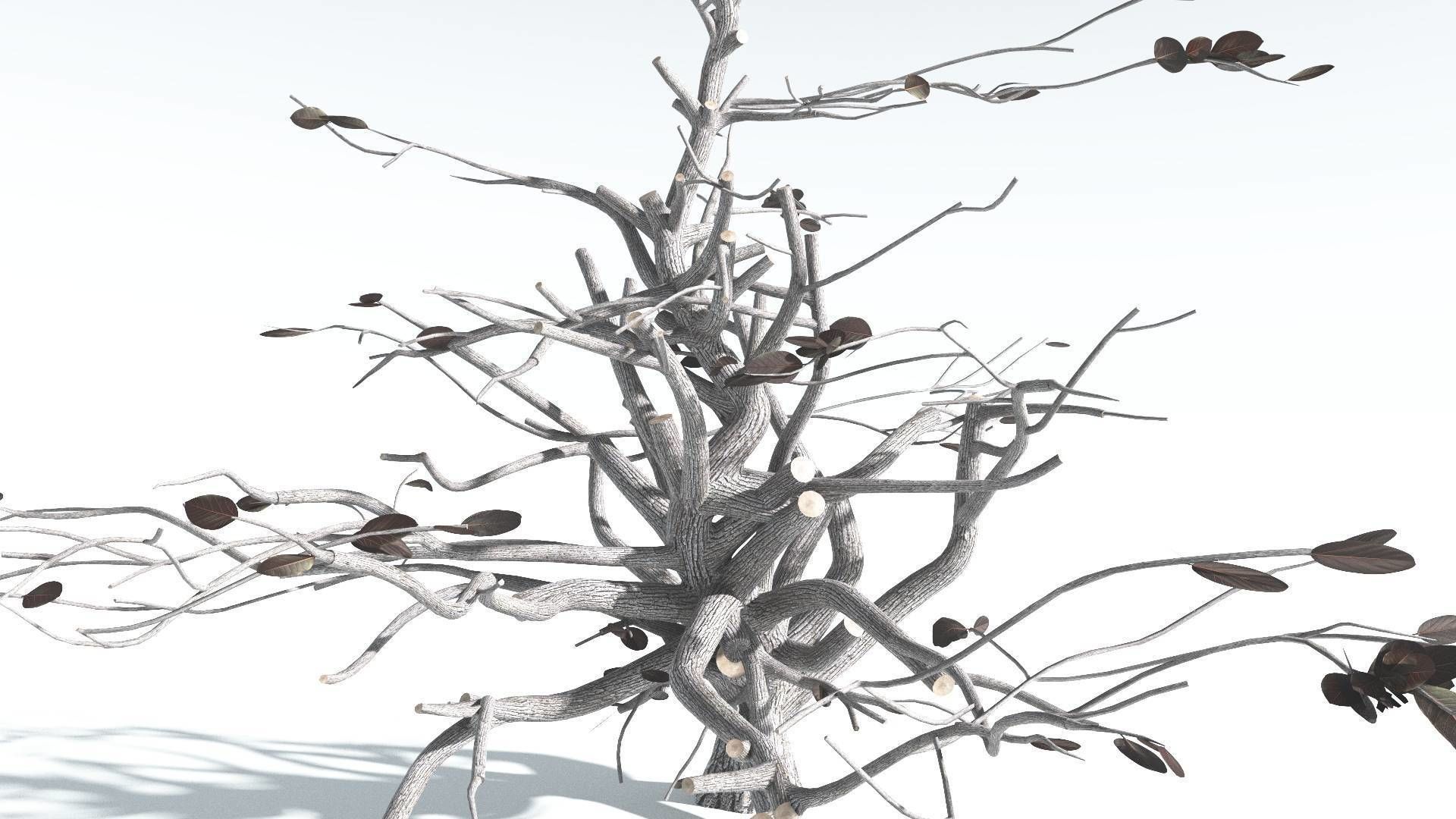 EVERYPlant Tree Heliotrope 3 --14 Models-- 3D model_18