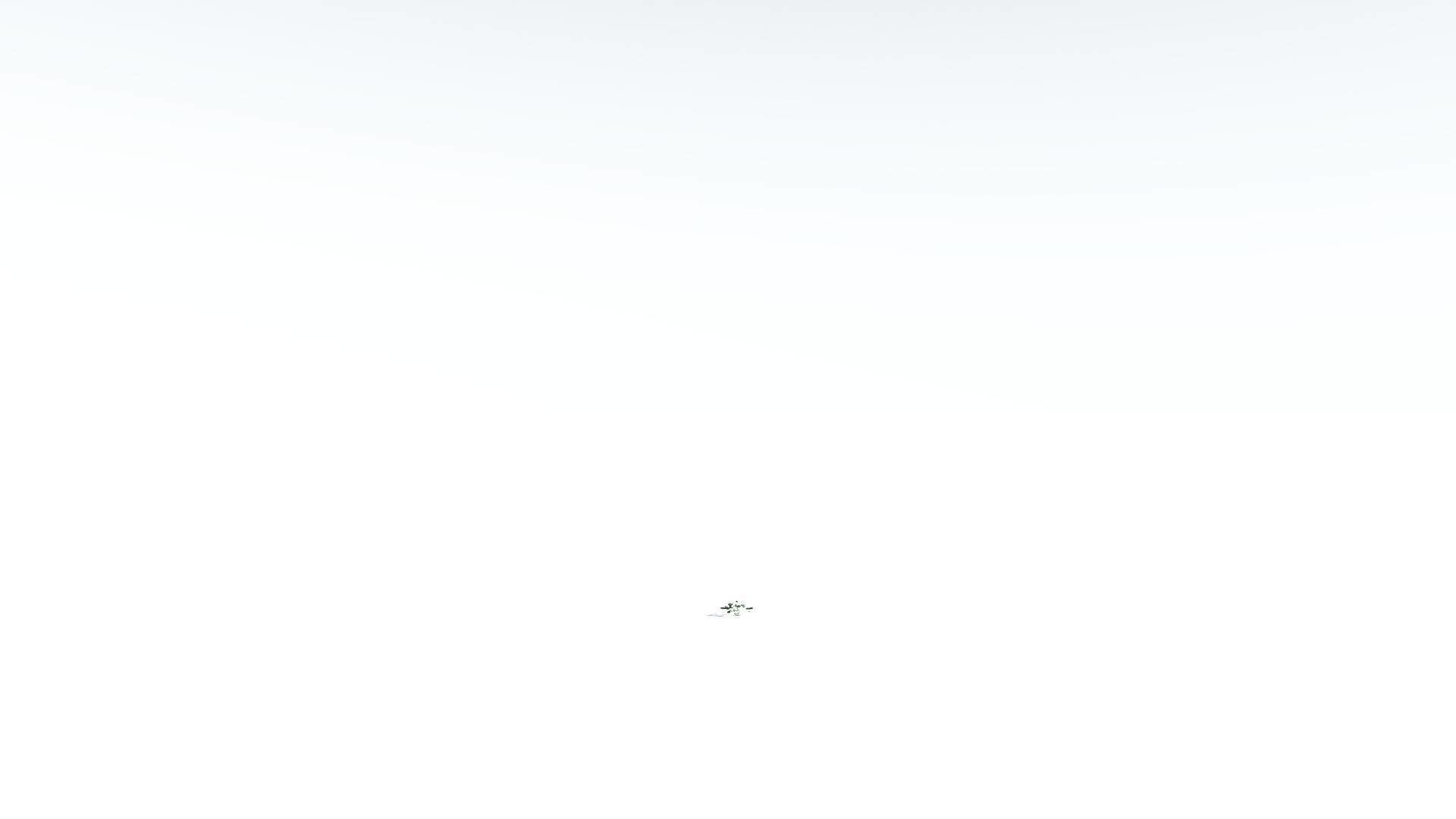 EVERYPlant Tree Heliotrope 3 --14 Models-- 3D model_27