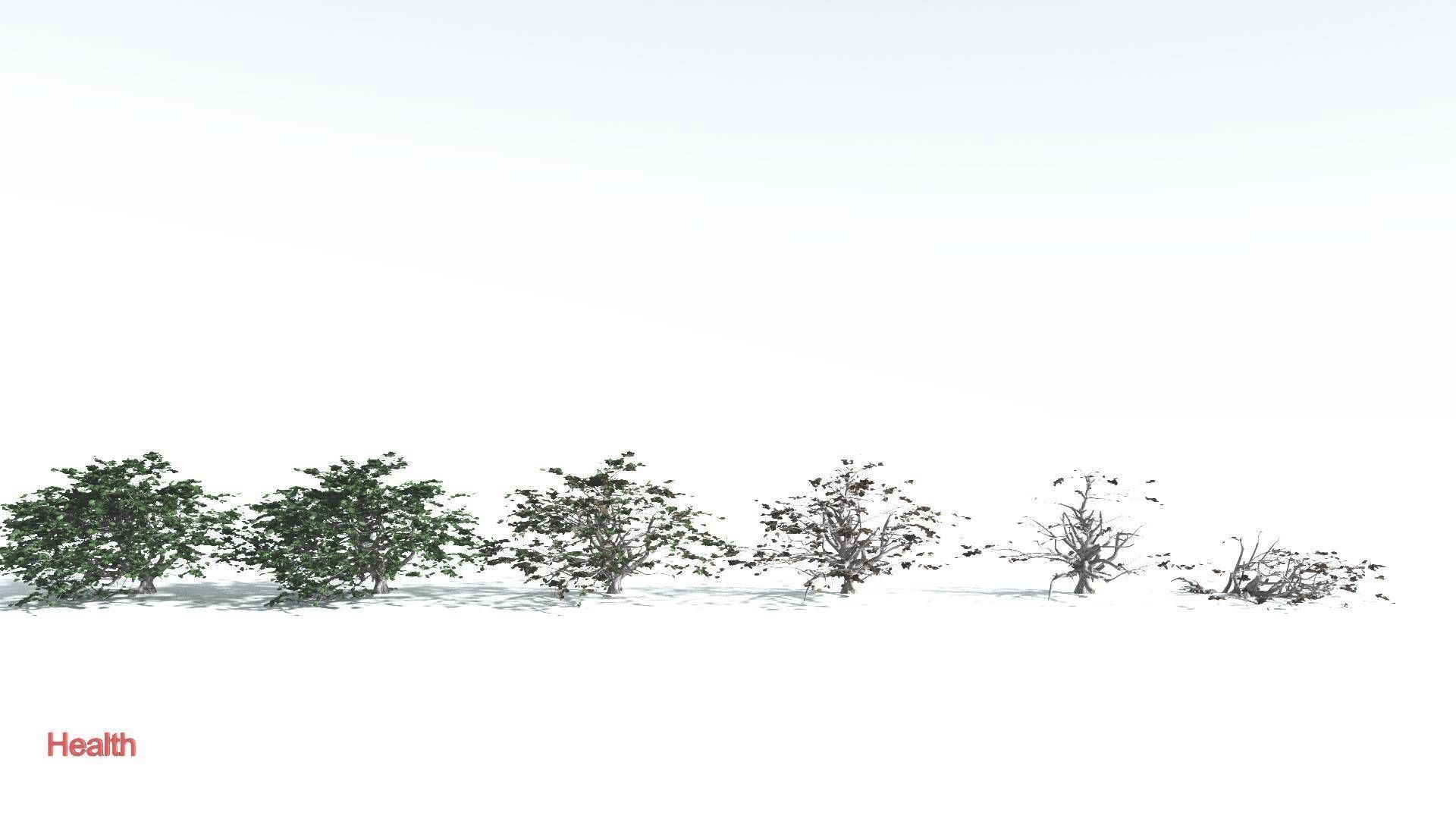 EVERYPlant Tree Heliotrope 3 --14 Models-- 3D model_2