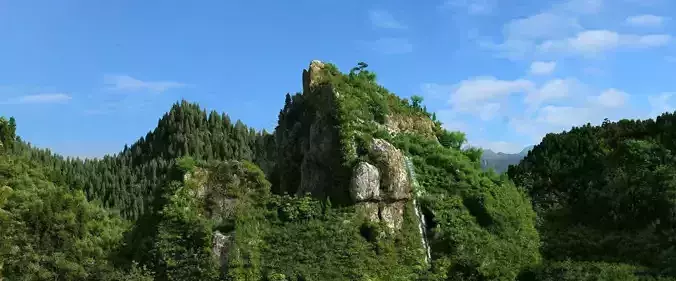 Mountain forest natural landscape