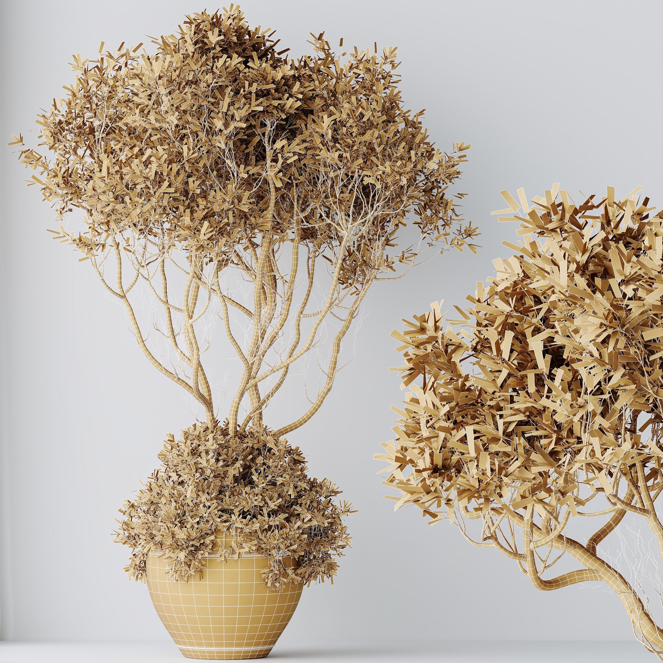 Indoor plants set 90 Mission Kalamata Leccino Arbequina Olive 3D model_6