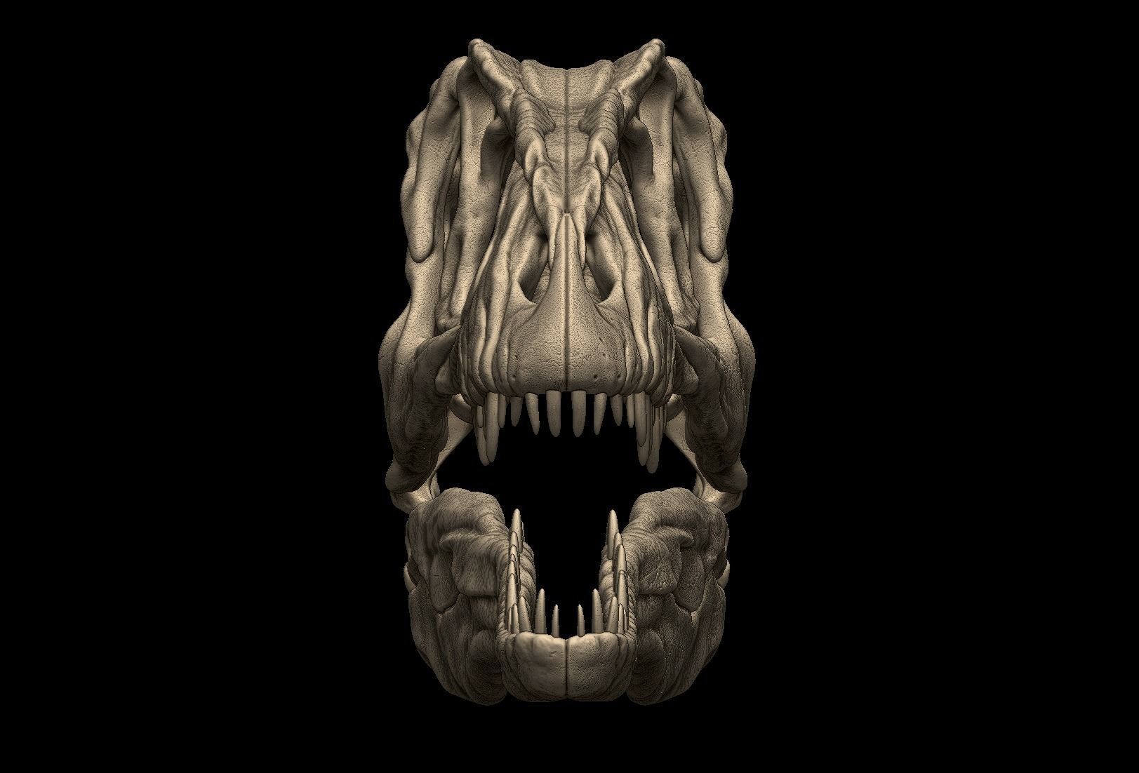 Acrocanthosaurus skull 3D print model_2