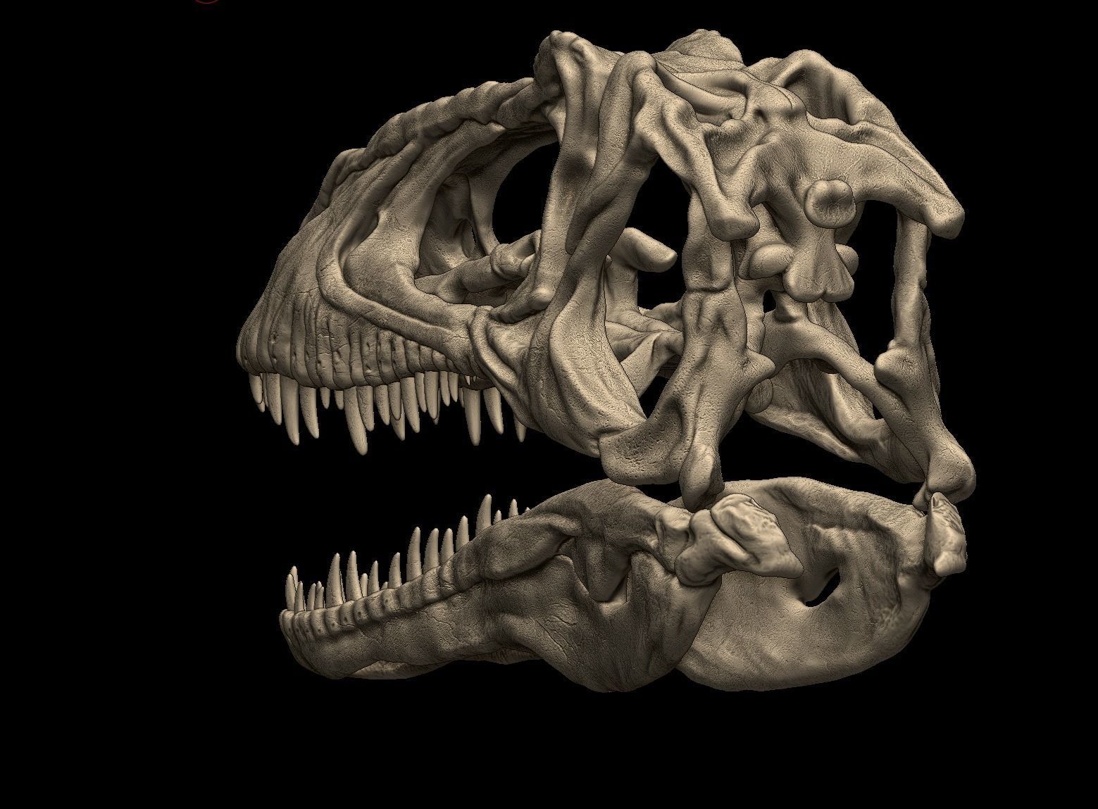 Acrocanthosaurus skull 3D print model_6