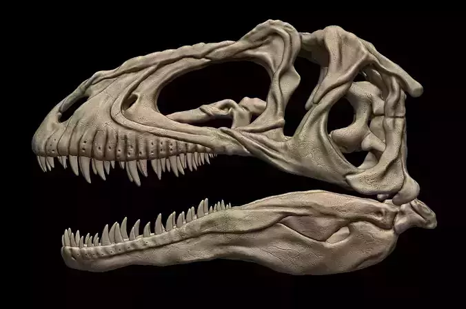 Acrocanthosaurus skull 3D print model