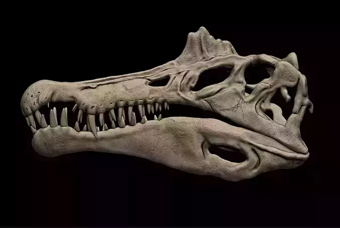 Spinosaurus Skull  3D print model