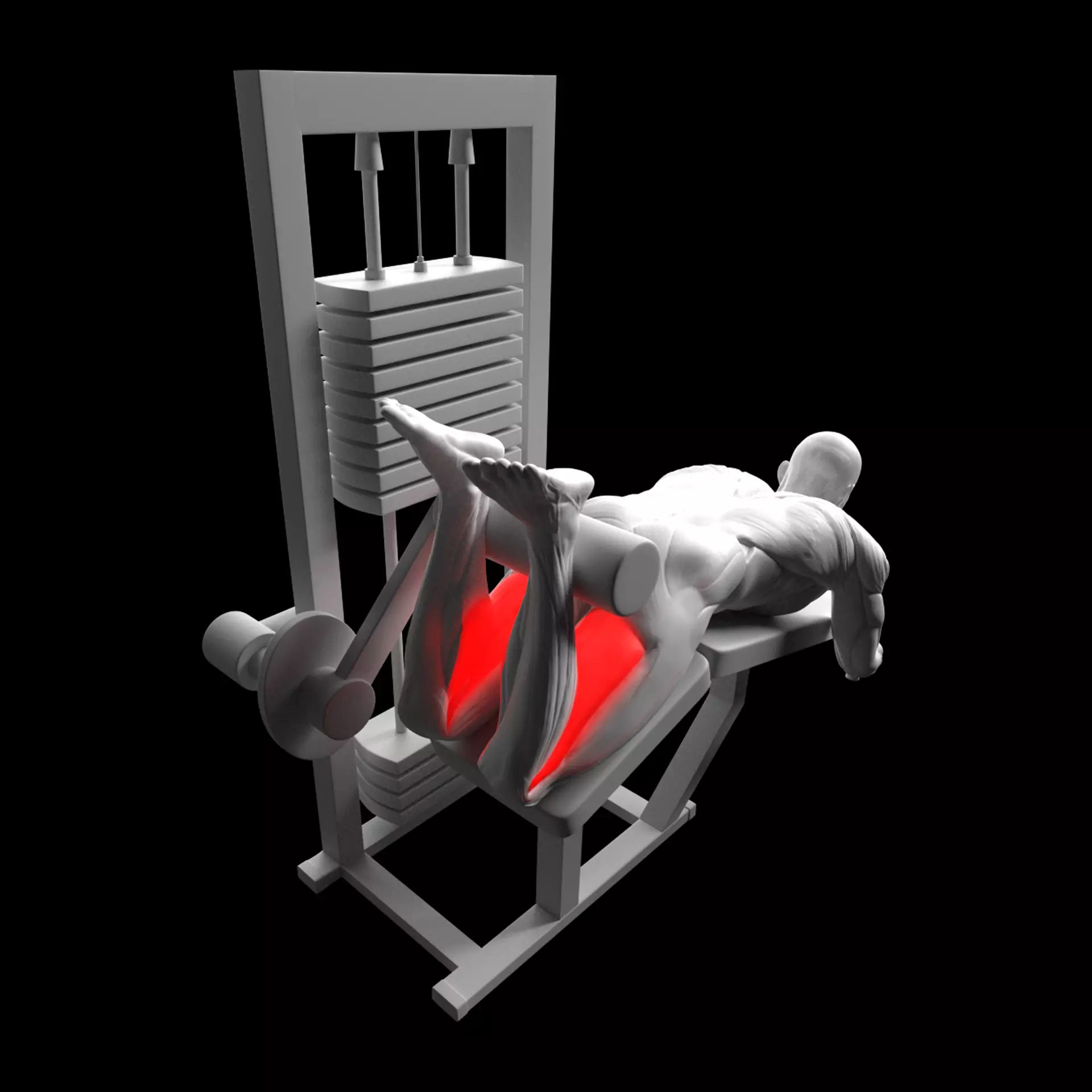 Lying Leg Curl 3D model