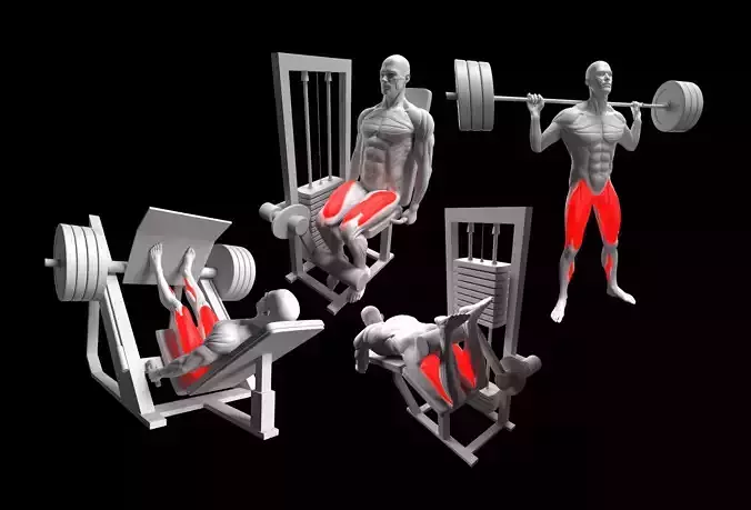Leg Exercises Pack 3D model