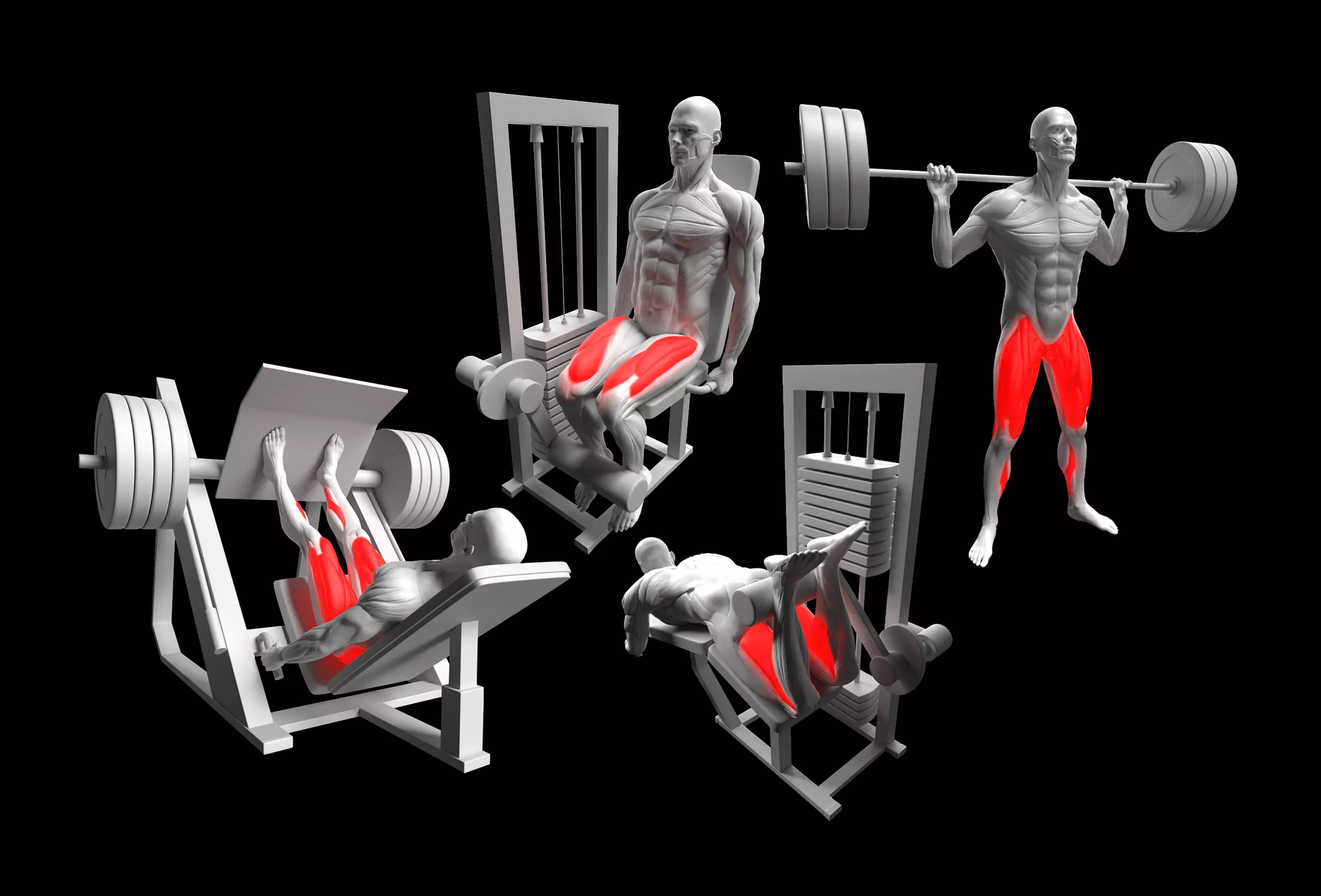 Leg Exercises Pack 3D model_0