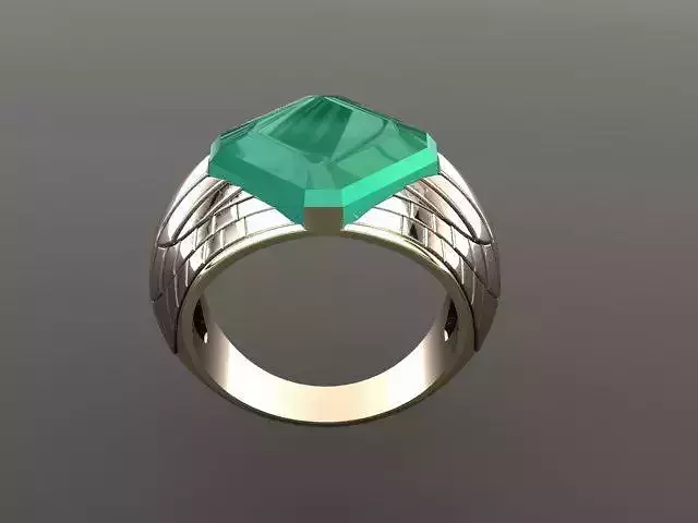 signet 6 3D print model