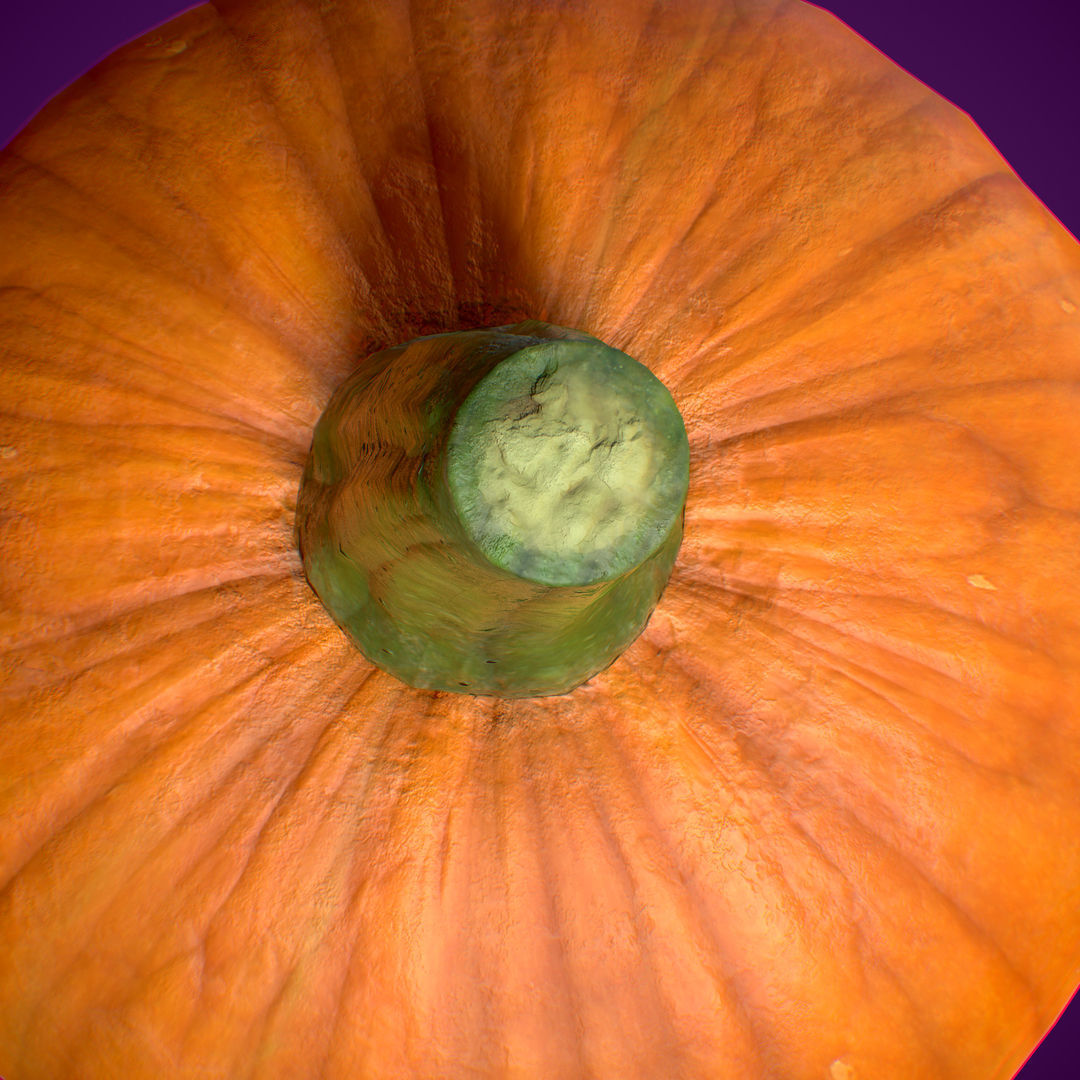  Pumpkin Halloween Set PBR 4K Low-poly 3D model_10