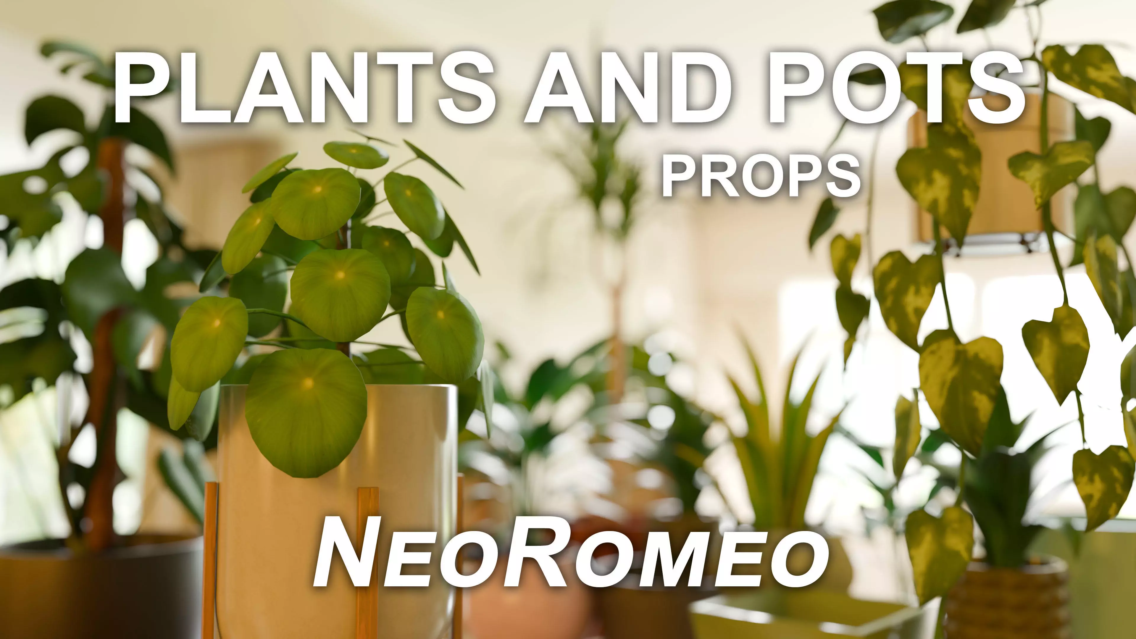 Houseplants and Pots - Game Ready Props Low-poly 3D model_0