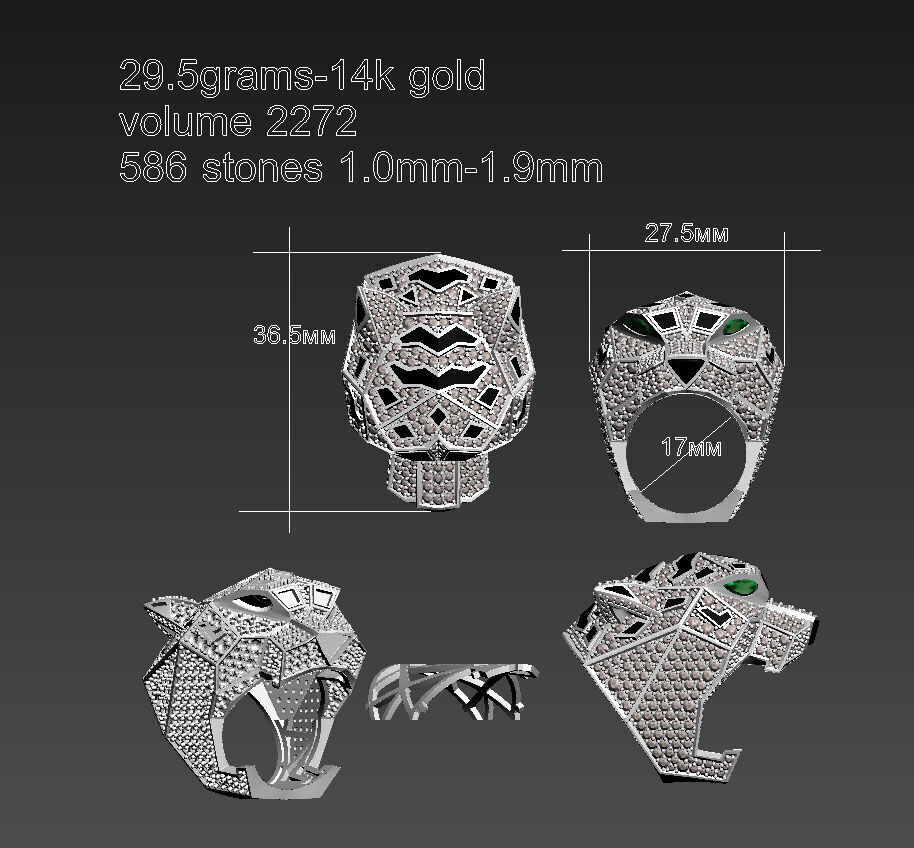 RING PANTHER 3D print model_68