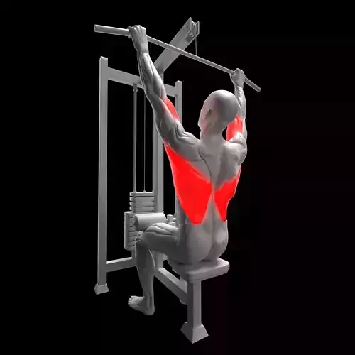 Lat Pulldown