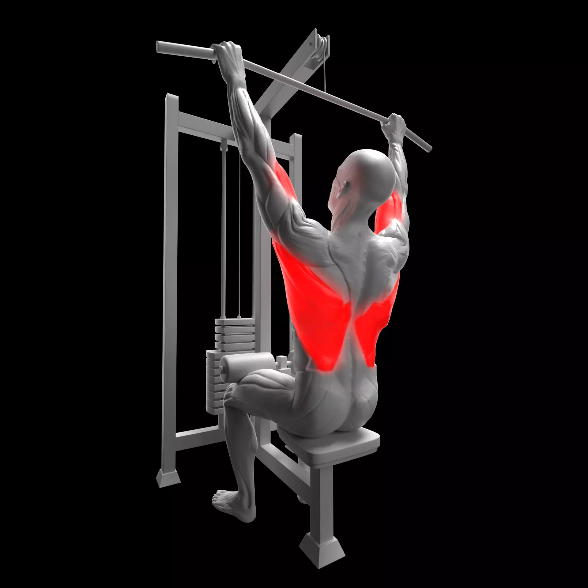 Lat Pulldown 3D model