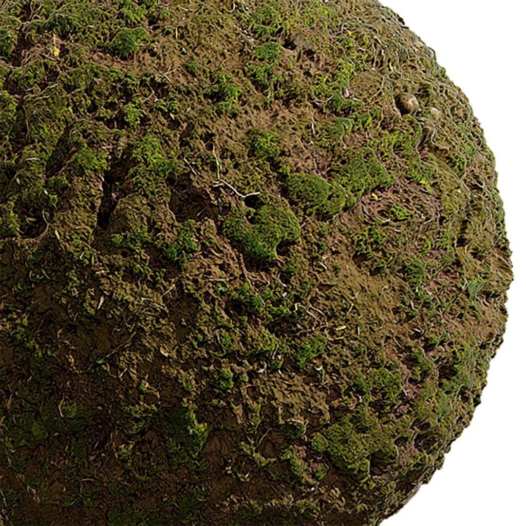 Moss Seamless Texture 2K - EXR 5 - JPG 5 Texture Texture_4