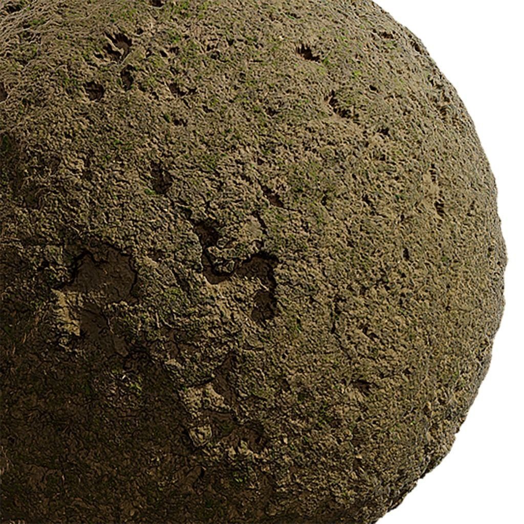 Moss Seamless Texture 2K - EXR 5 - JPG 5 Texture Texture_2