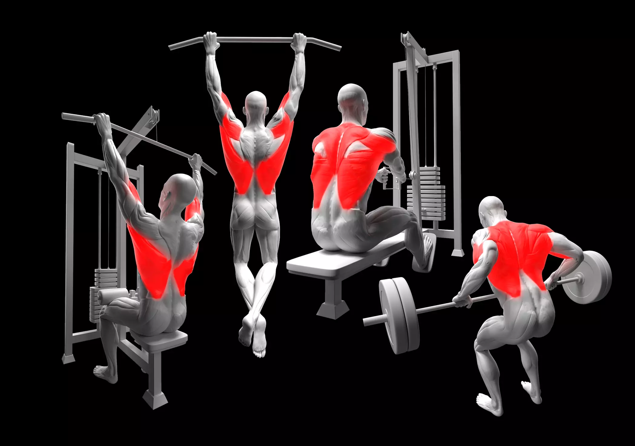 Back Exercises Pack 3D model
