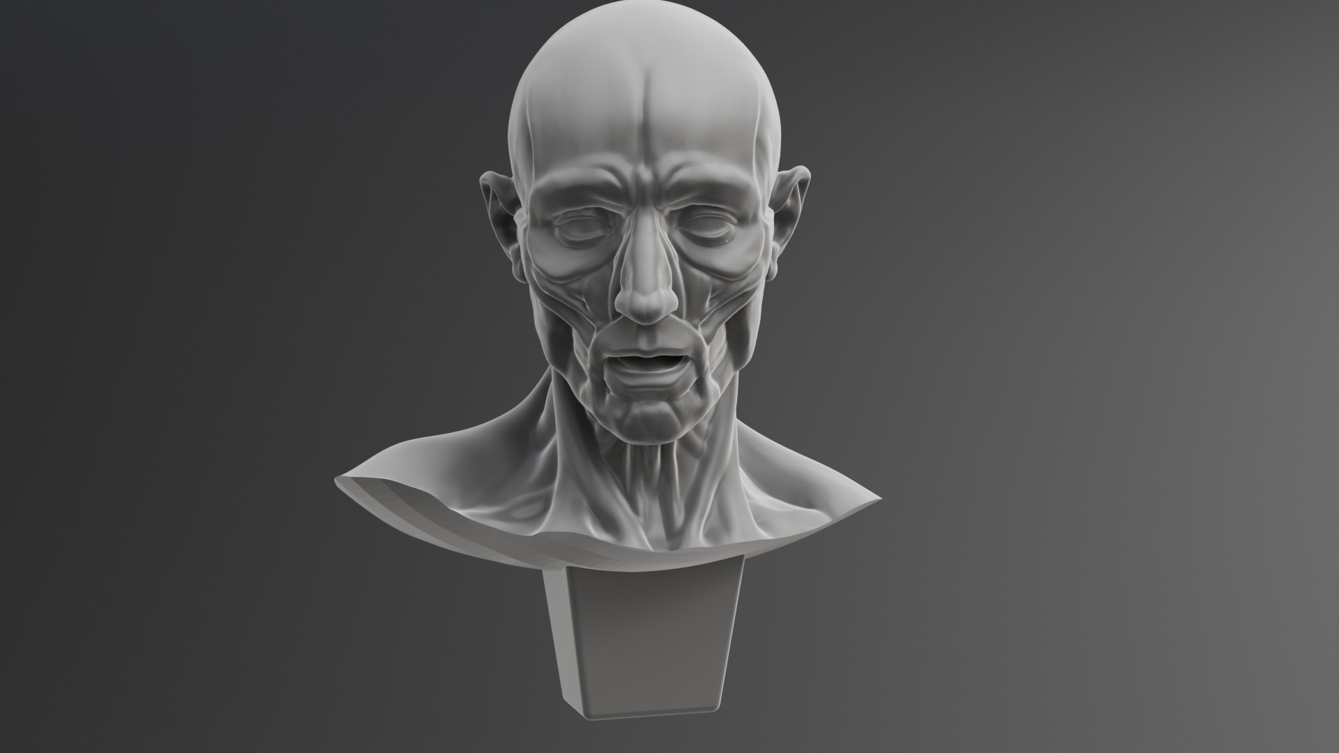 Houdon Ecorche STL model with FBX file 3D print model_8