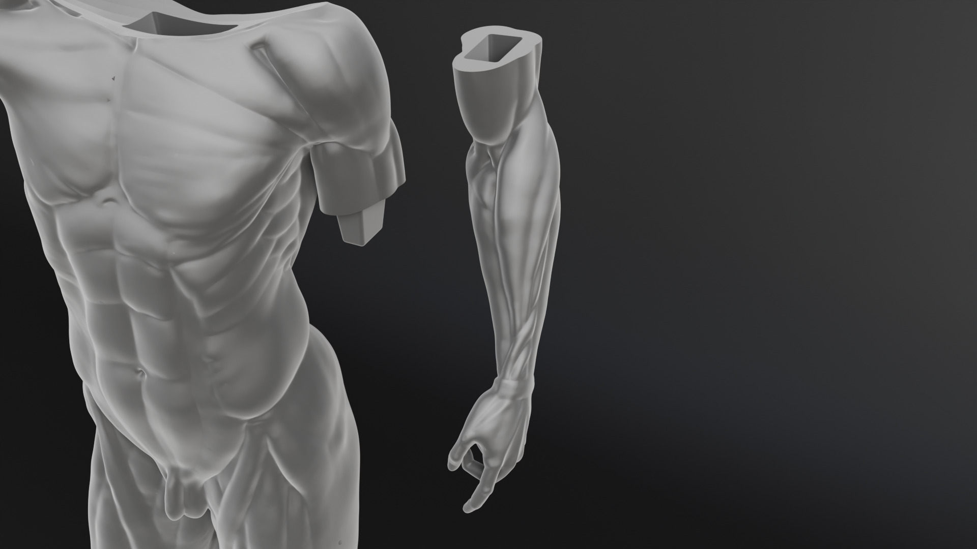 Houdon Ecorche STL model with FBX file 3D print model_12