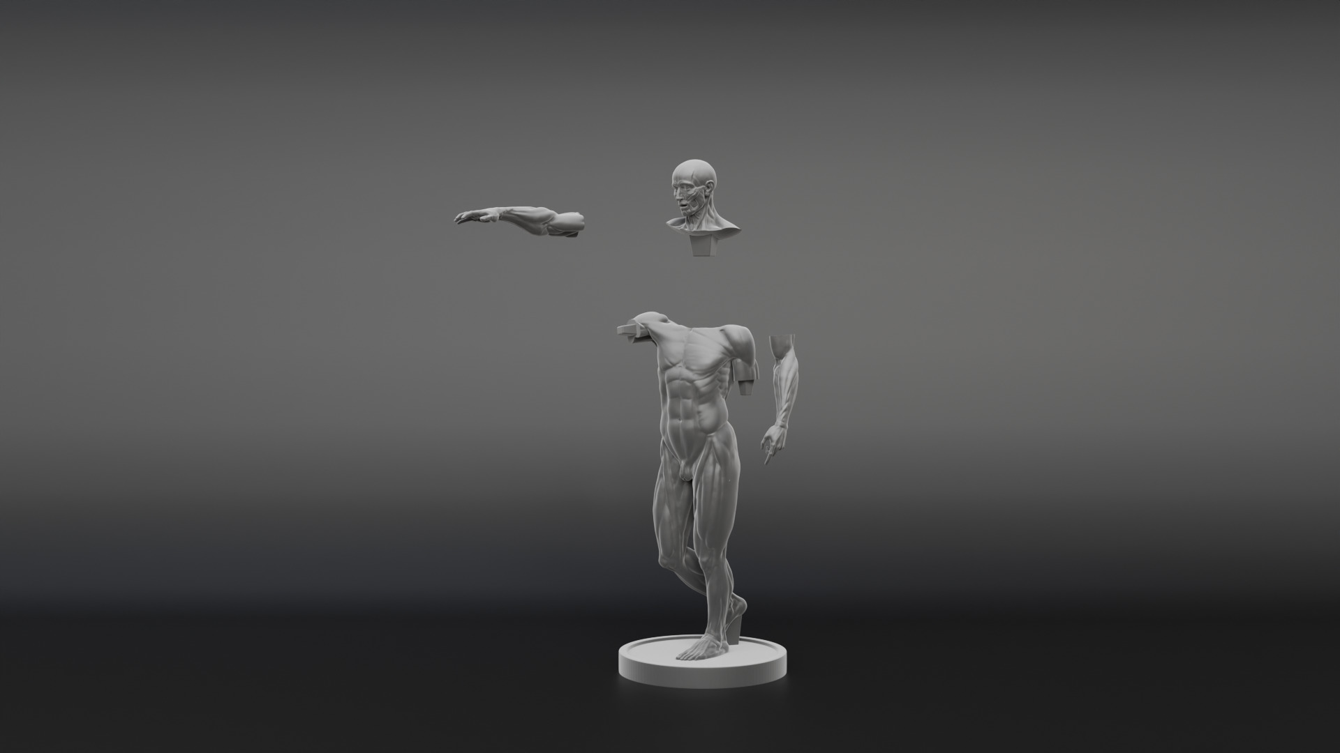 Houdon Ecorche STL model with FBX file 3D print model_6